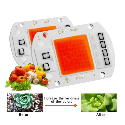 COB Chip LED Grow Light Phyto Lamp  20W 30W 50W Full Spectrum No need driver For Growth Flower Seedling Grow Plant