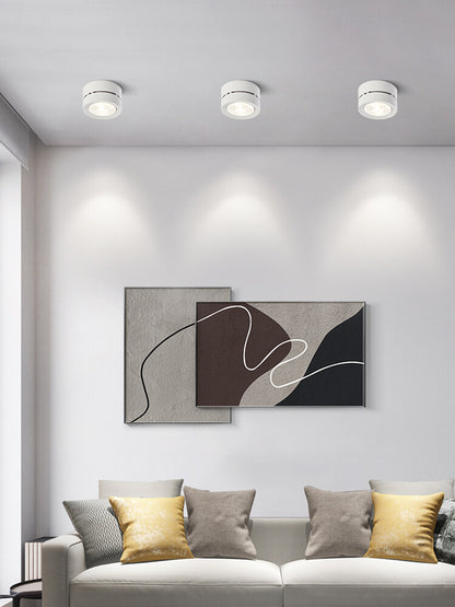 Dimmable LED Downlight Living Room Bedroom Surface Mounted Downlight Ceiling Light Spotlight