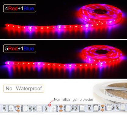 Plant Grow lights 1m 2m 3m 4m 5m Waterproof Full Spectrum LED Strip Flower phyto lamp Red blue 4:1 for Greenhouse Hydroponic