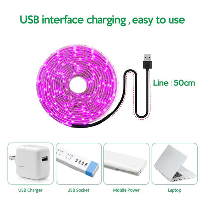 LED Grow Light Full Spectrum  USB Grow Light Strip 2835 LED Phyto Lamps For Plants Greenhouse Hydroponic Growing 0.5M 1M 2M 3M