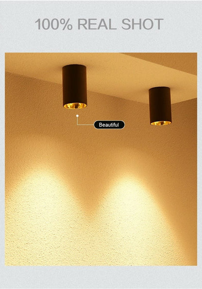 New Arrival Surface Mounted COB Downlight LED 5W 7W 10W 15W Ceiling Downlight Anti-glare illumination