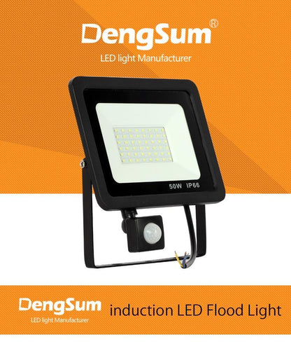 10W 20W 30W 50W 100W Induction Led flood light With Adjustable PIR Sensor floodlight Street Square Outdoor Lighting