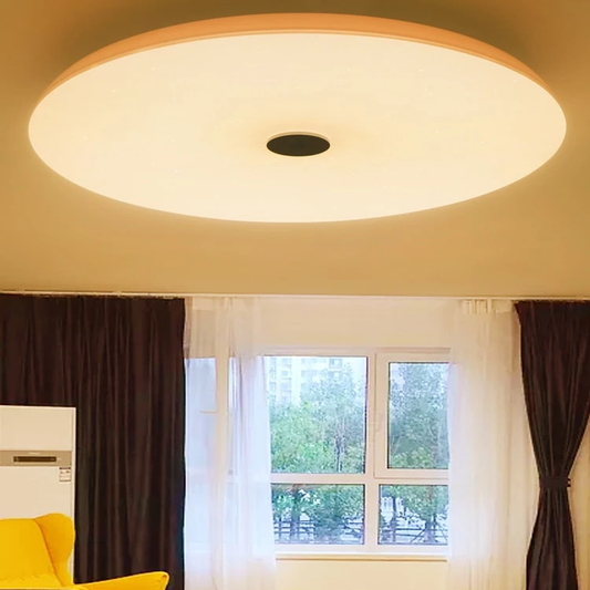 Modern LED Ceiling Lights Dimmable 36W 48W 72W APP Remote Control Bluetooth Music Light Speaker Foyer Bedroom Smart Ceiling Lamp