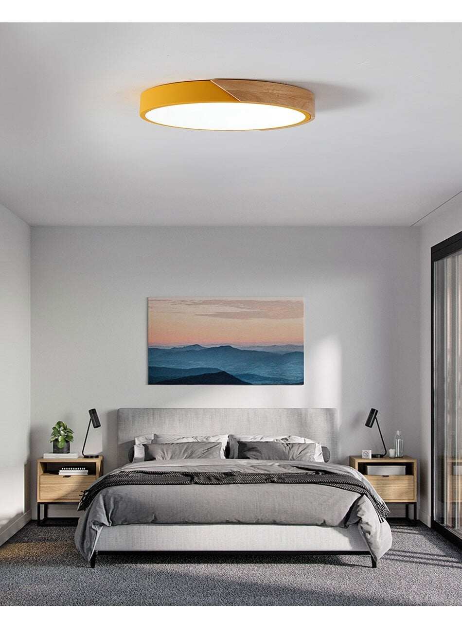 Modern LED Ceiling Light Surface Mount Flush Lamp Indoor Lighting Fixture Living Room Bedroom Kitchen Remote Control Dimmable