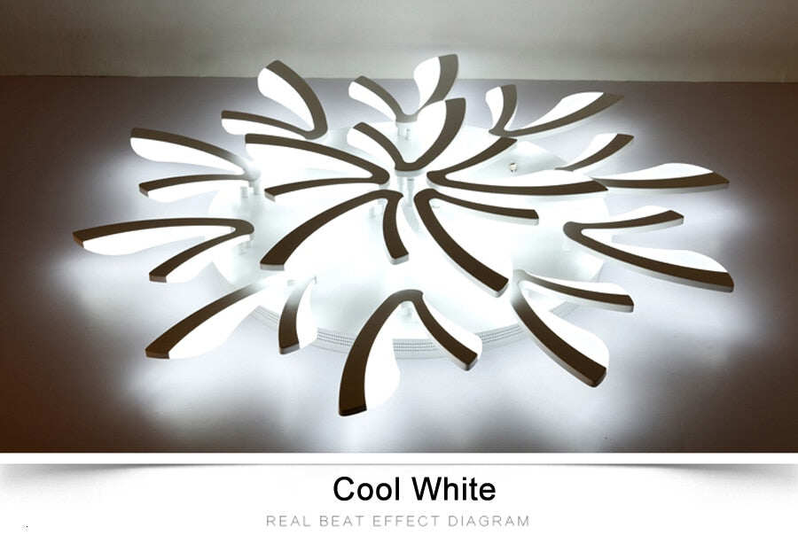 Acrylic Modern Led Ceiling Lights For Living Room Bedroom Dining Home Indoor Lamp Lighting Fixtures Luminaria Lampada