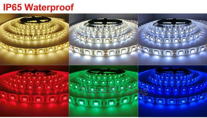 5M or 10M /Pack 2835 SMD More Brighter Than 3528 5050 SMD LED Strip light DC 12V 60LEDs/M Indoor Decorative Tape White Blue Red