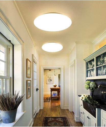 Modern LED Ceiling Light Lighting Fixture Lamp Surface Mount Living Room Bedroom Bathroom Remote Control Home Decoration Kitchen