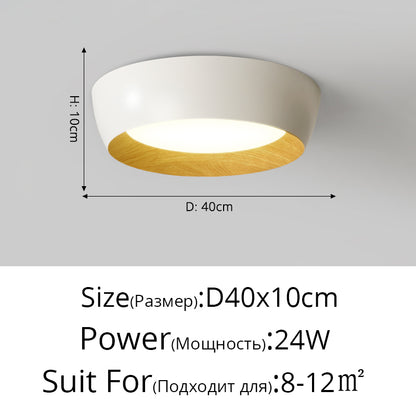 Nordic LED Ceiling Lights For Living Room Bedroom Corridor Luminaire White Black Gray lamp ping lustres e pendentes