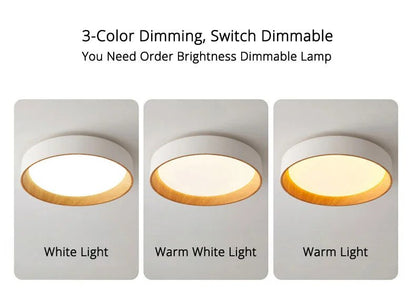 Nordic LED Ceiling Chandelier for Living Dining Room Balcony Double Bedroom Pendant Lamps Home Decor Indoor Lighting Fixture