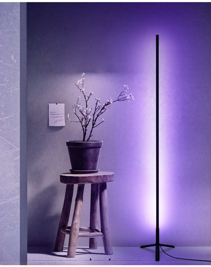 Modern LED floor lamp simple living room bedroom lamp colorful RGB light