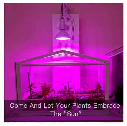 Goodland Phyto Lamp Full Spectrum LED Grow Light E27 Plant Lamp Fitolamp For Indoor Seedlings Flower Fitolampy Grow Tent Box