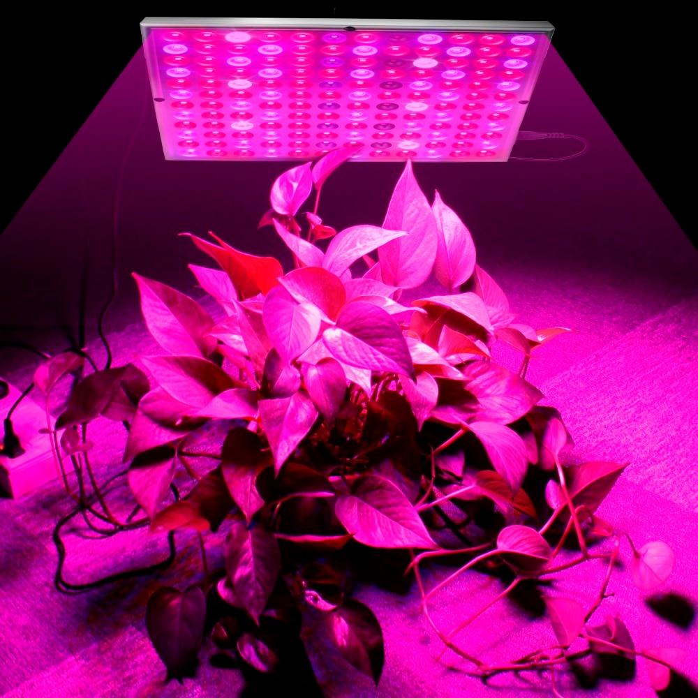 Growing Lamps LED Grow Light 25W 45W Full Spectrum Plant Lighting Fitolampy For Plants Flowers Seedling Cultivation