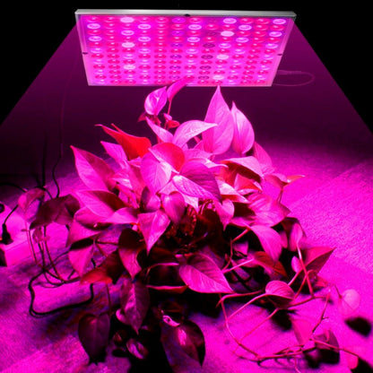 Growing Lamps LED Grow Light 25W 45W Full Spectrum Plant Lighting Fitolampy For Plants Flowers Seedling Cultivation