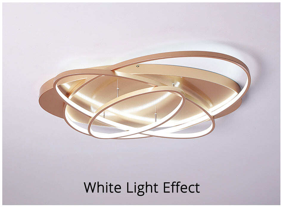 Oval Led Ceiling Lights Luminaire Plafonnier For Living Room Kitchen Bedroom Lampen Modern Light Fixtures Verlichting