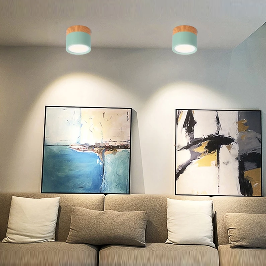 LED Ceiling Lights For Bedroom  Surface Mounted Modern Ceiling Lamp Living Room Bedroom Porch Modern House Lighting Fixture