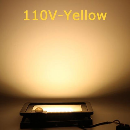 10W 20W 30W 50W 100W Induction Led flood light With Adjustable PIR Sensor floodlight Street Square Outdoor Lighting