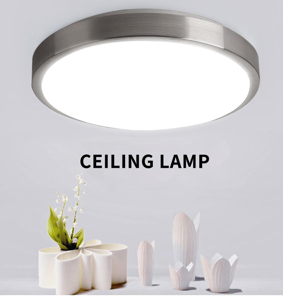 LED Ceiling Light Lighting Fixture Modern Lamp Living Room Bedroom Kitchen Bathroom Surface Mount Remote Control