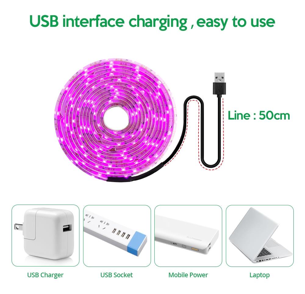 LED Grow Light Full Spectrum  USB Grow Light Strip 2835 LED Phyto Lamps For Plants Greenhouse Hydroponic Growing 0.5M 1M 2M 3M