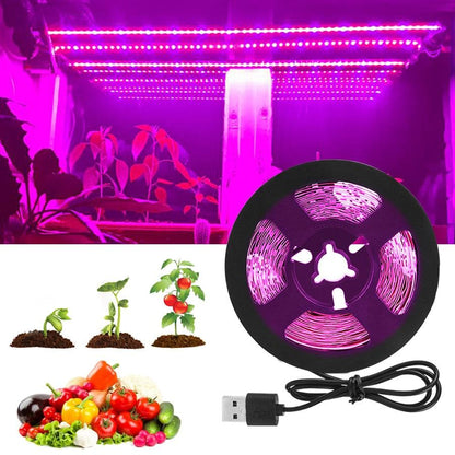 Full Spectrum LED Grow Light USB LED Strip fitolampy 1m 2m 3m Phyto Lamp For Plant Indoor Flower Seed Hydroponic Tent Grow Lamp