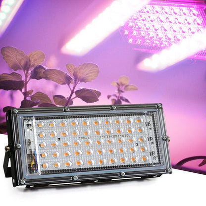 Led Floodlight 50W 100W Outdoor led Spotlight Full Spectrum LED Grow Light For Plants Tent Flower Seeding Indoor Grow