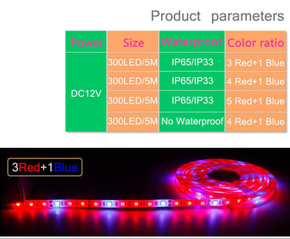 LED Grow light Full Spectrum 5M LED Strip light 5050 LED Flower Plant Phyto Growth lamps For Greenhouse Hydroponic Plant Growing
