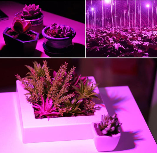 LED Grow Light Full Spectrum 6W/10W/30W/50W/80W E27 UV IR LED Growing Bulb for Indoor Hydroponics Flowers Plants LED Growth Lamp