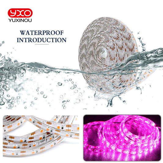 Full Spectrum LED Grow Lights USB LED Strip Lights 370-780nm 2835 Chip LED Grow Lamps 0.5m 1m 2m 3m  for Indoor Plants growing