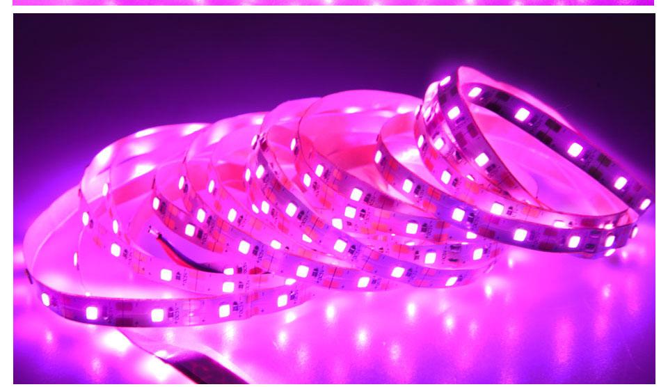 USB LED Grow Light Full Spectrum waterproof LED Strip Lights 2835 60LEDs Phyto Lamps For Greenhouse Hydroponic Plant Growing