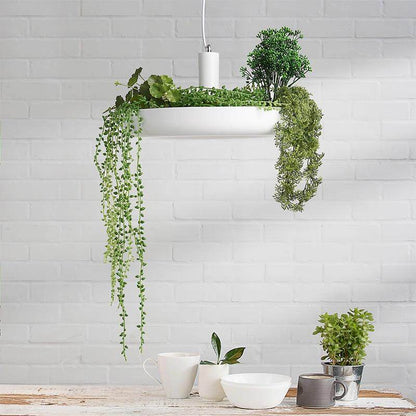 Nordic Plant Pendant Lights DIY Sky garden Led Lamp Flower Pot Hanging Lamp Dining Room Restaurant Lighting Fixtures Home Decor