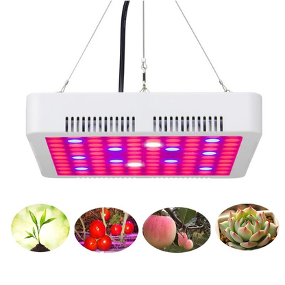 LED grow Light 300W 50W 45W Phyto Lamps Full Spectrum Grow lamps For indoor seedling tent Greenhouse flower fitolamp plant lamp