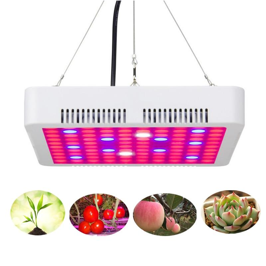 LED grow Light 300W 50W 45W Phyto Lamps Full Spectrum Grow lamps For indoor seedling tent Greenhouse flower fitolamp plant lamp