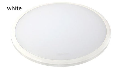 High Brightness Ultra-Thin Ceiling Light LED Lamp DIA 28/38 Indoor Lighting Waterproof Dustproof PVC Decoration Light Fixture