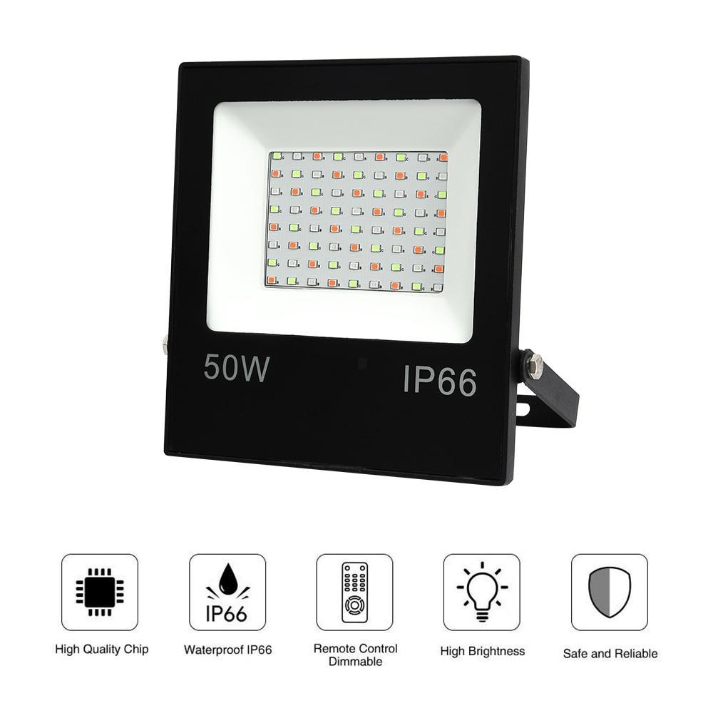 10W 30W 50W Led Spotlight Outdoor Flood Light AC220V IP66 Reflector Projector Lamp With Remote Controller For Courtyard Rockery