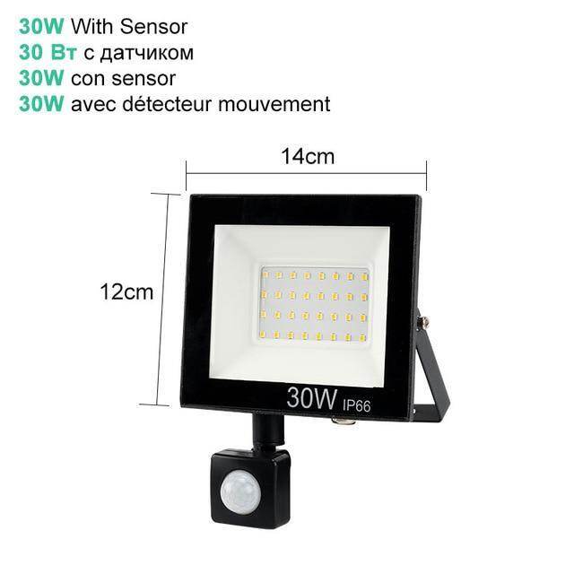 10W 20W 30W 50W 100W LED Floodlight Waterproof PIR Motion Sensor Floodlight Outdoor Wall Lamp Flood Light Spotlight