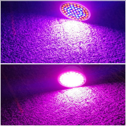 Full Spectrum E27 LED Plant Grow Light Bulb Fitolampy Phyto Lamp For Indoor Garden Plants Flower Hydroponics Grow Tent Box