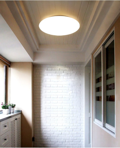 Modern LED Ceiling Light Lighting Fixture Lamp Surface Mount Living Room Bedroom Bathroom Remote Control Home Decoration Kitchen