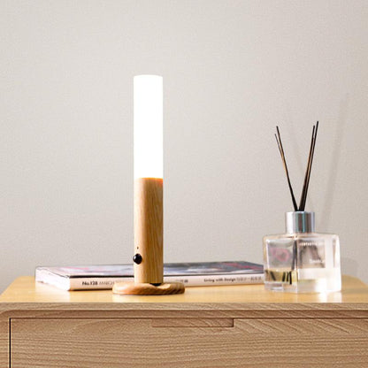 Intelligent Human Body Induction Small Night Light LED Household Charging Corridor Induction Light