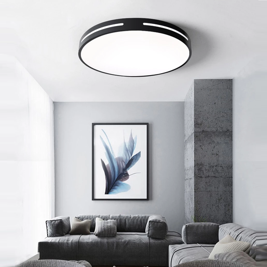 Modern LED Ceiling Light Lamp Lighting Fixture Surface Mount Flush Remote Control Dimmable 18W 48W Living Room Bedroom Balcony