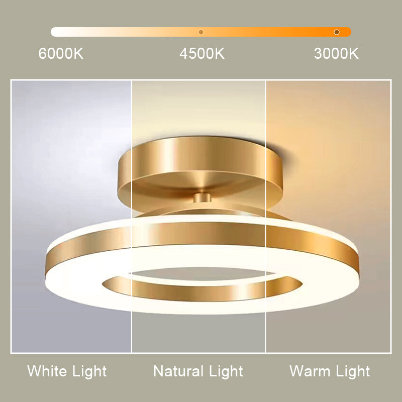 Modern LED Ceiling Lamp Indoor Lighting For Bedroom Dining Table Living Room Ceiling Light