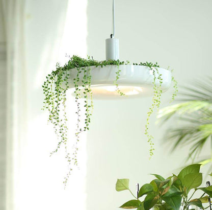 Nordic Plant Pendant Lights DIY Sky garden Led Lamp Flower Pot Hanging Lamp Dining Room Restaurant Lighting Fixtures Home Decor