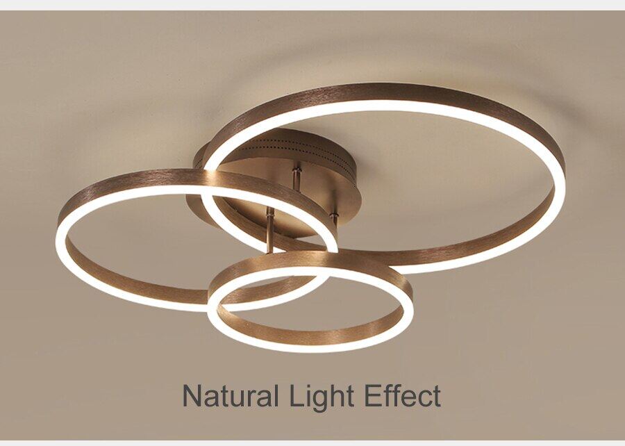 Led Ceiling Lights For Living Room Bedroom Remote Control Lamparas DeTecho Surface Mount White Indoor Lighting Fixture