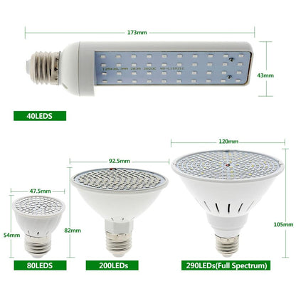 LED Grow Light Bulb Full Spectrum E27 Phyto lamp 220V Growth Light   Hydroponic Growing Lamp for Plants Flowers Seedlings
