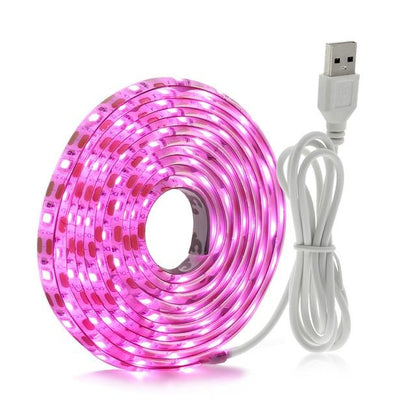USB Phytolamps for Plants 5V LED Grow Light Strip 2835 Chip 1m 2m 3m LED Phyto Tape for Hydroponic Greenhouse Seedlings Growth