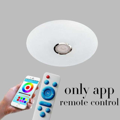 Smart Bluetooth Ceiling Light LED Modern Simple Ultra-thin APP+Remote Music Light Children's Room Living Room Bedroom Light