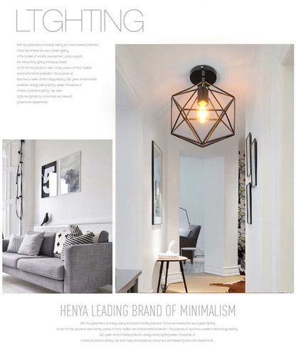 Retro Indoor Lighting Vintage Ceiling Light LED Lights More Kinds Iron Cage Lampshade Warehouse Style Light Fixture