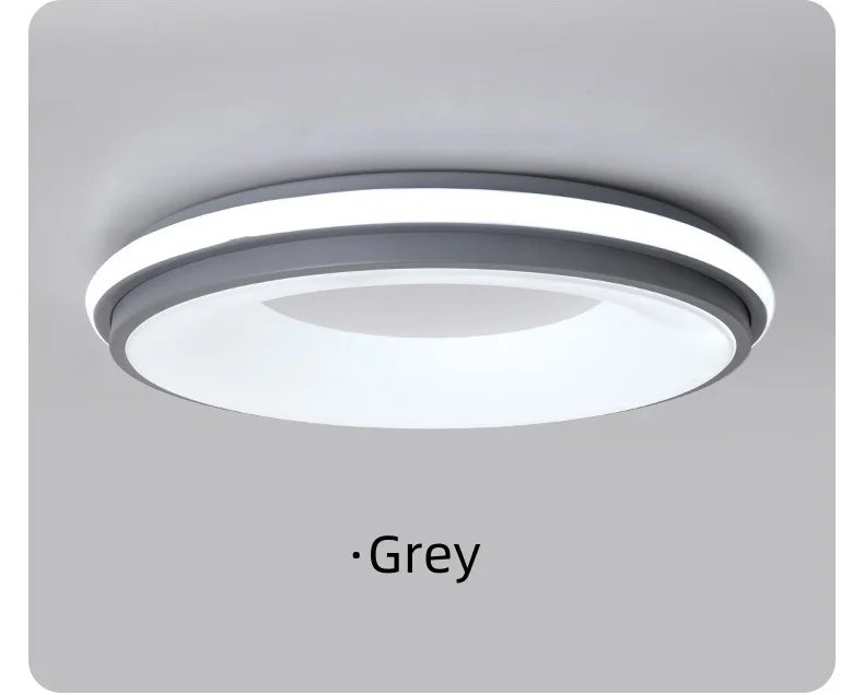 Macaron LED Ceiling Light Modern Simple Circular Remote Dimming Light Interior Decor Light