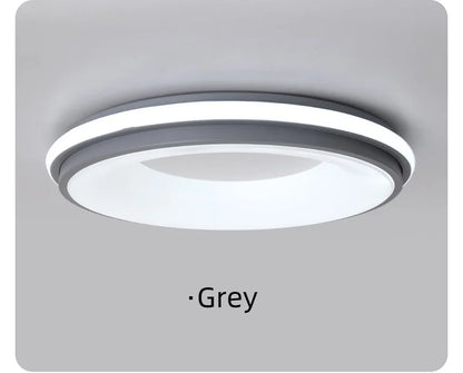Macaron LED Ceiling Light Modern Simple Circular Remote Dimming Light Interior Decor Light
