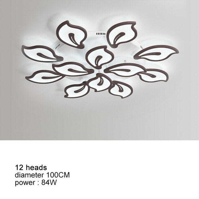 Modern LED Ceiling Lights For Living Room Acrylic Bedroom Lamp Home Decor Plafon Kitchen Fixtures With Remote Dimmable