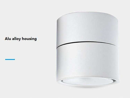 LED Surface Mounted Ceiling Light Foldable and 360 Degree Rotatable COB Background Light