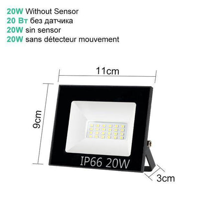10W 20W 30W 50W 100W LED Floodlight Waterproof PIR Motion Sensor Floodlight Outdoor Wall Lamp Flood Light Spotlight